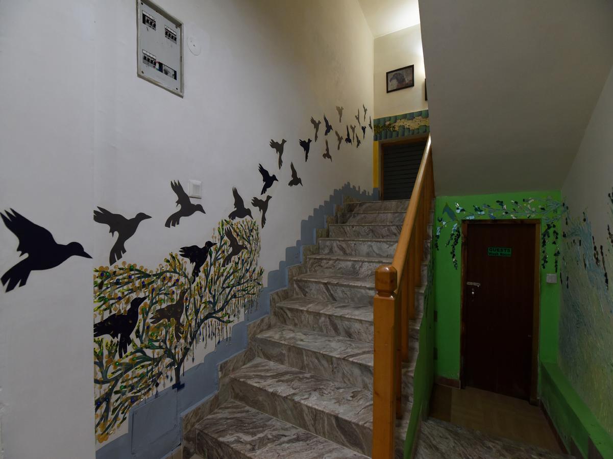 Mount Ville Cottages מנאלי מראה חיצוני תמונה